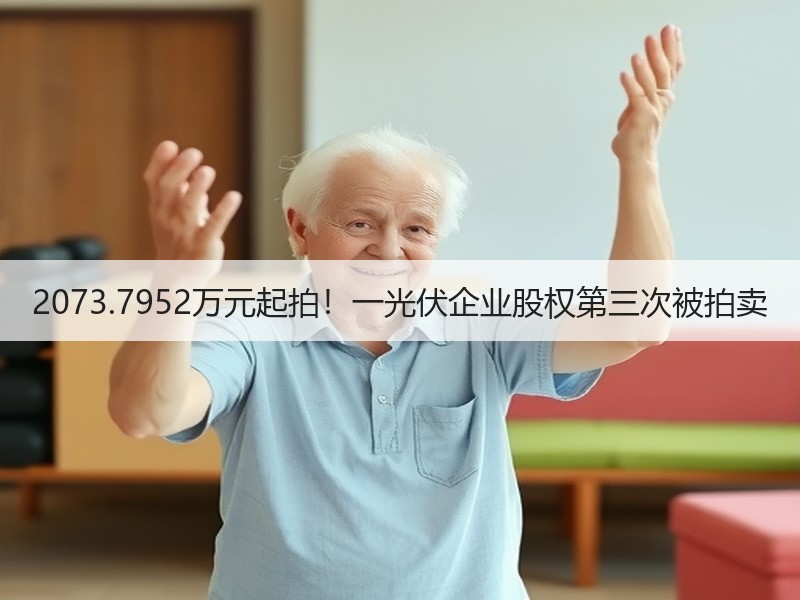 2073.7952万元起拍！一光伏企业股