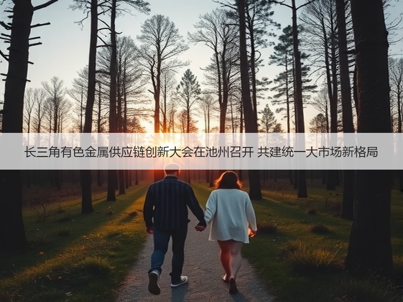 长三角有色金属供应链创新大会在池州召开 