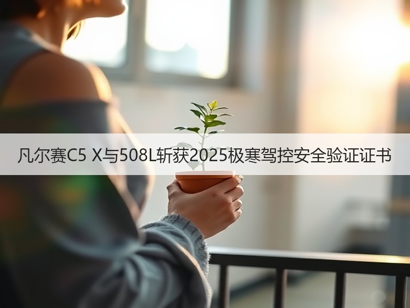 凡尔赛C5 X与508L斩获2025极寒