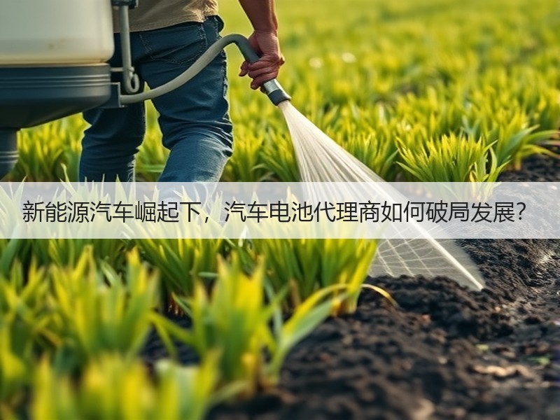 新能源汽车崛起下，汽车电池代理商如何破局