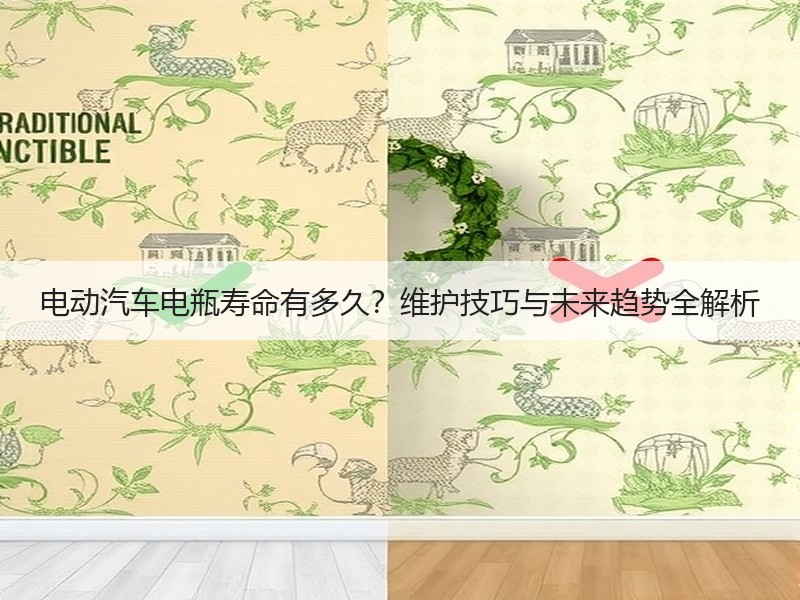 电动汽车电瓶寿命有多久？维护技巧与未来趋