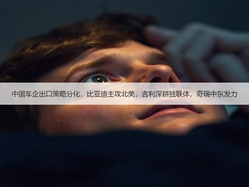 中国车企出口策略分化，比亚迪主攻北美，吉