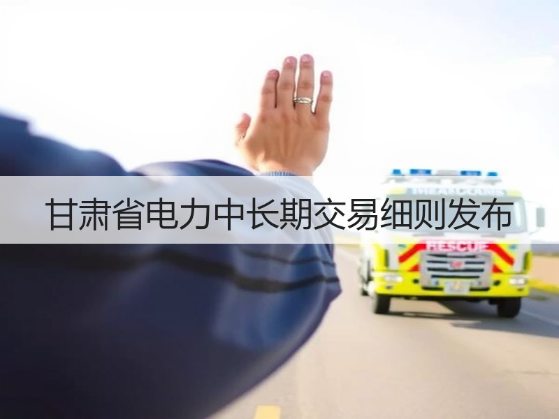 甘肃省电力中长期交易细则发布