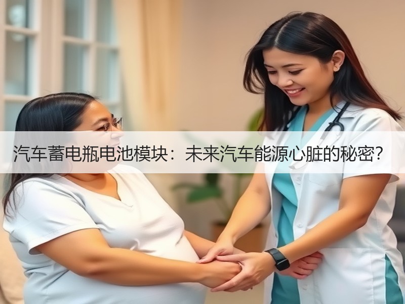汽车蓄电瓶电池模块：未来汽车能源心脏的秘