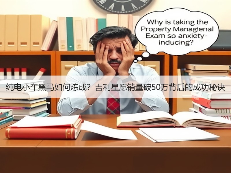 纯电小车黑马如何炼成？吉利星愿销量破50