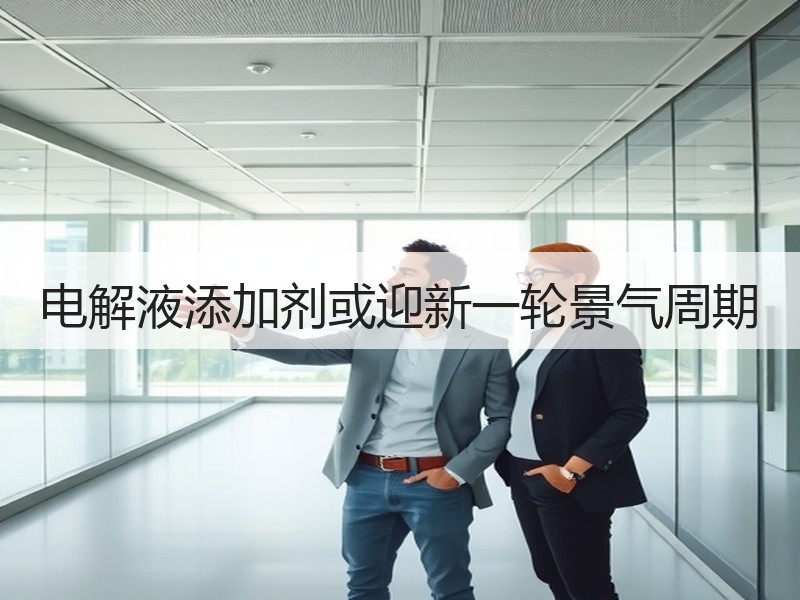 电解液添加剂或迎新一轮景气周期