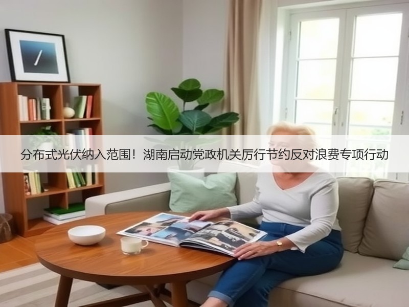分布式光伏纳入范围！湖南启动党政机关厉行