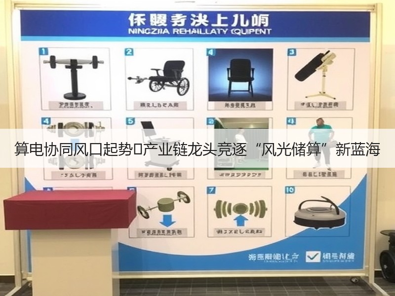算电协同风口起势 产业链龙头竞逐“风光储