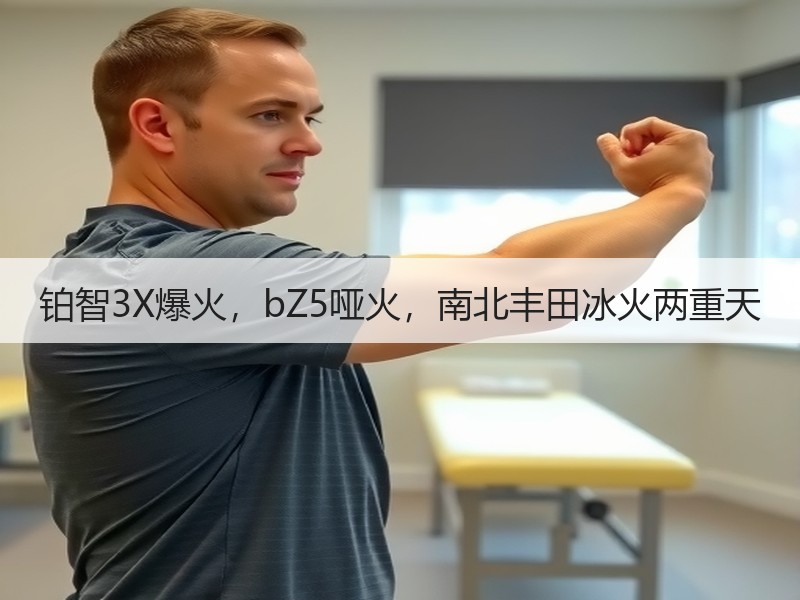 铂智3X爆火，bZ5哑火，南北丰田冰火两