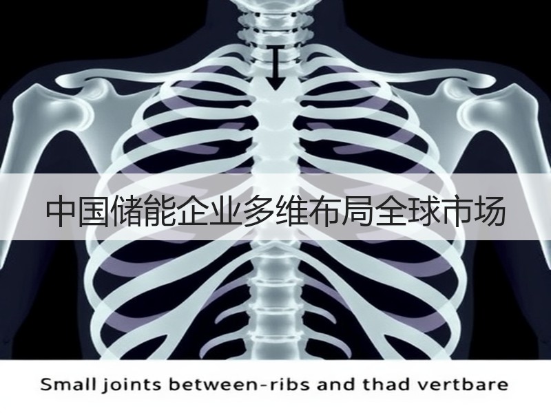 中国储能企业多维布局全球市场
