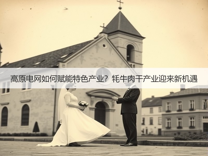 高原电网如何赋能特色产业？牦牛肉干产业迎