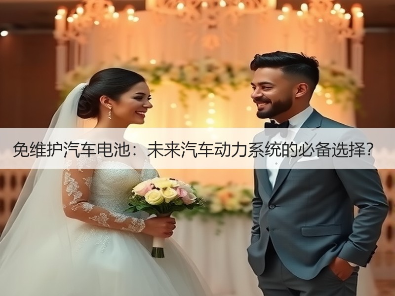 免维护汽车电池：未来汽车动力系统的必备选