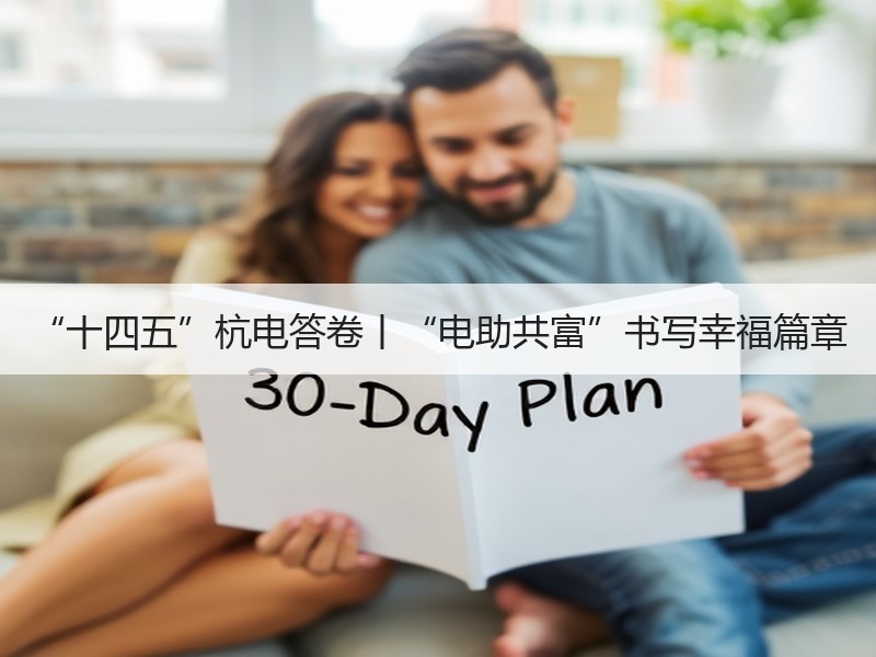 “十四五”杭电答卷丨“电助共富”书写幸福