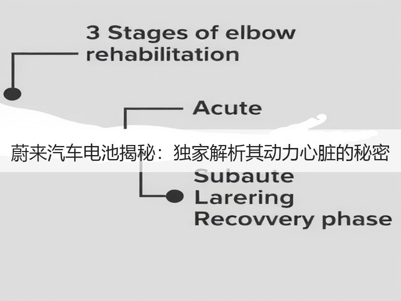 蔚来汽车电池揭秘：独家解析其动力心脏的秘