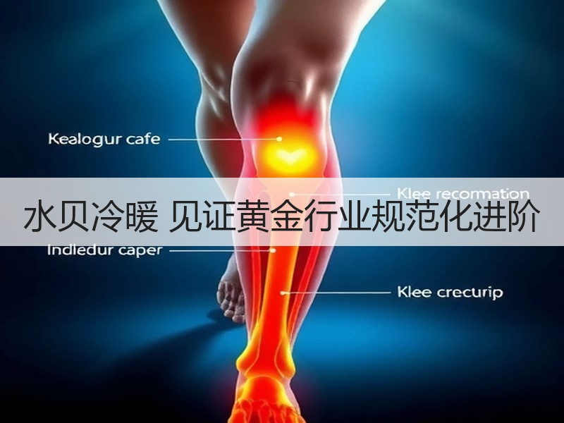 水贝冷暖 见证黄金行业规范化进阶
