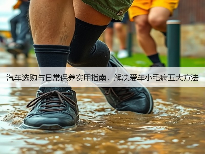 汽车选购与日常保养实用指南，解决爱车小毛