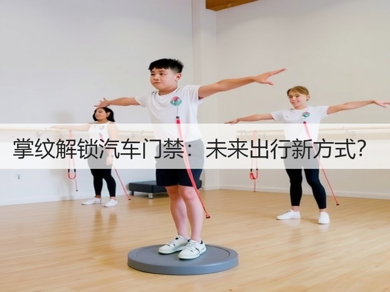 掌纹解锁汽车门禁：未来出行新方式？