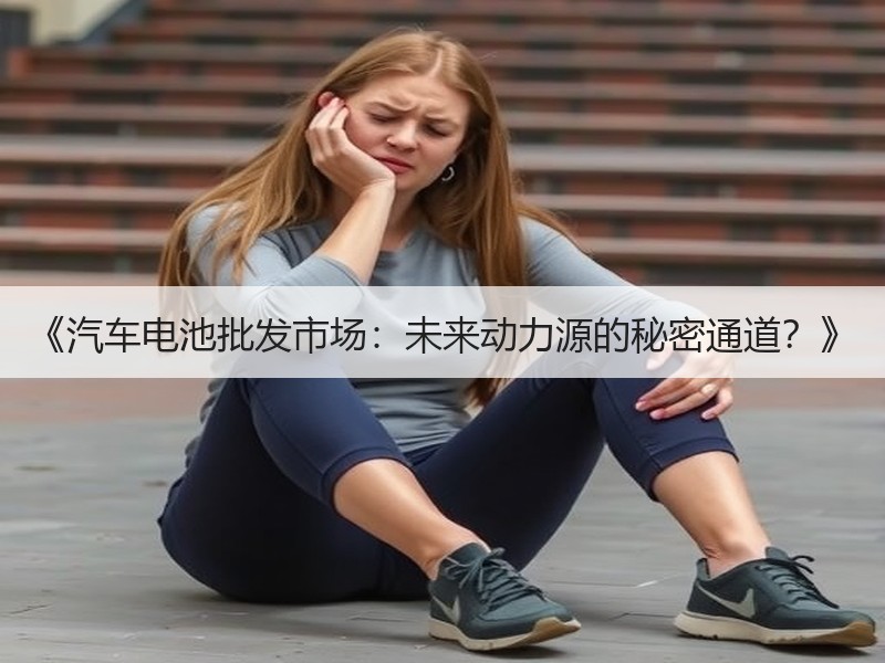 《汽车电池批发市场：未来动力源的秘密通道