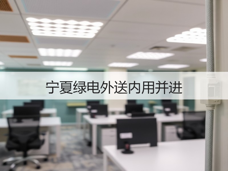 宁夏绿电外送内用并进