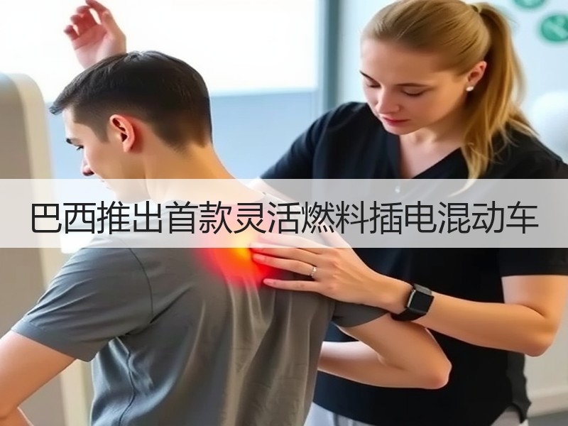 巴西推出首款灵活燃料插电混动车