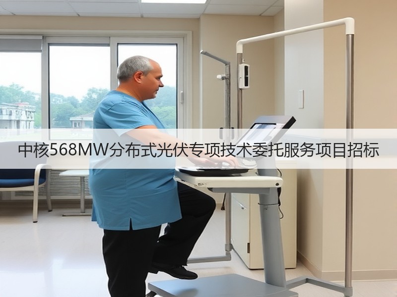 中核568MW分布式光伏专项技术委托服务